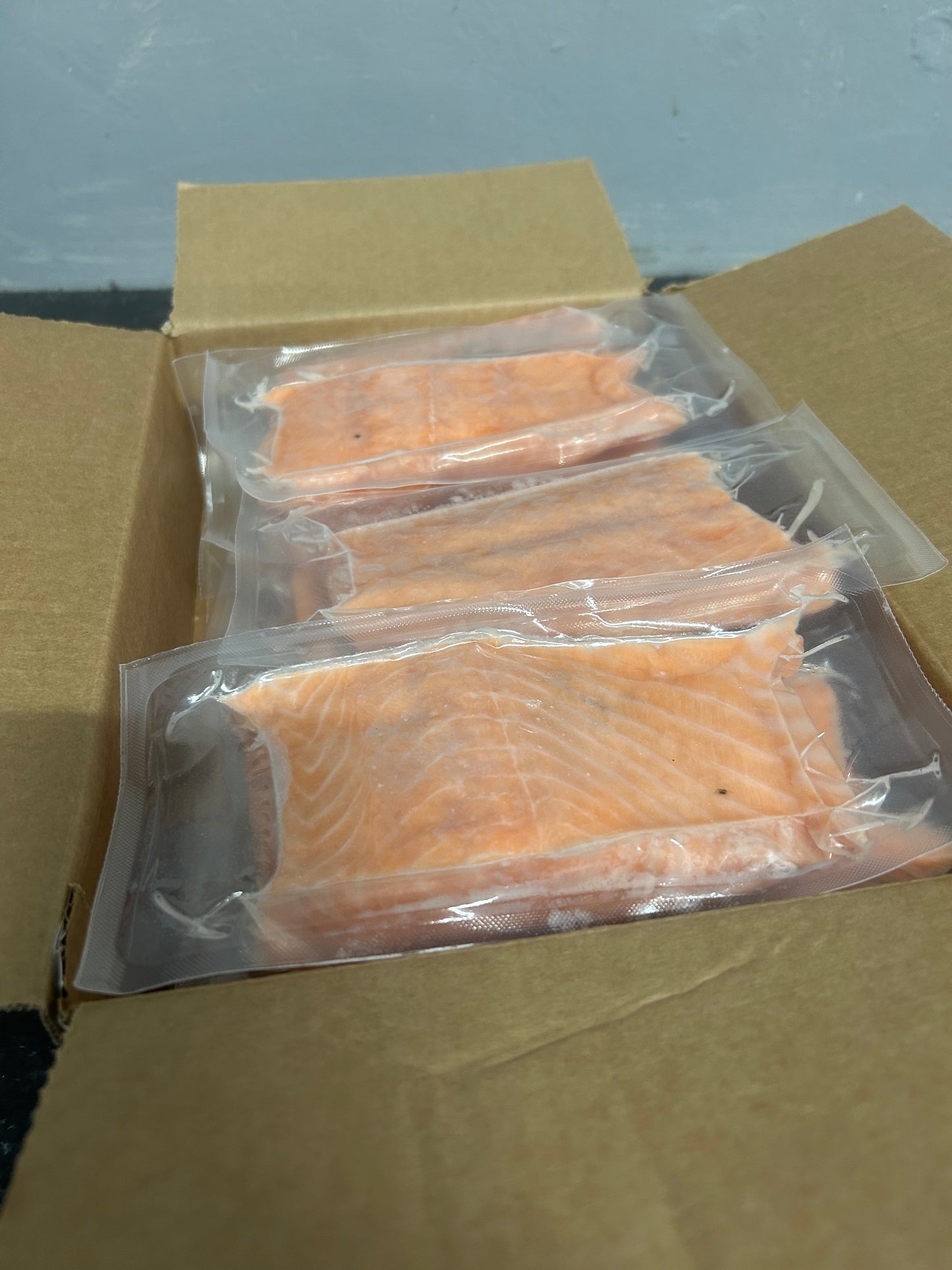 Salmon Fillets x10